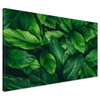 Obraz na płótnie - liście, zieleń, natura