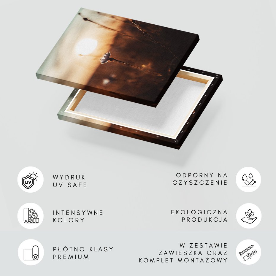 Obraz na płótnie - kwiat, zachód słońca, natura