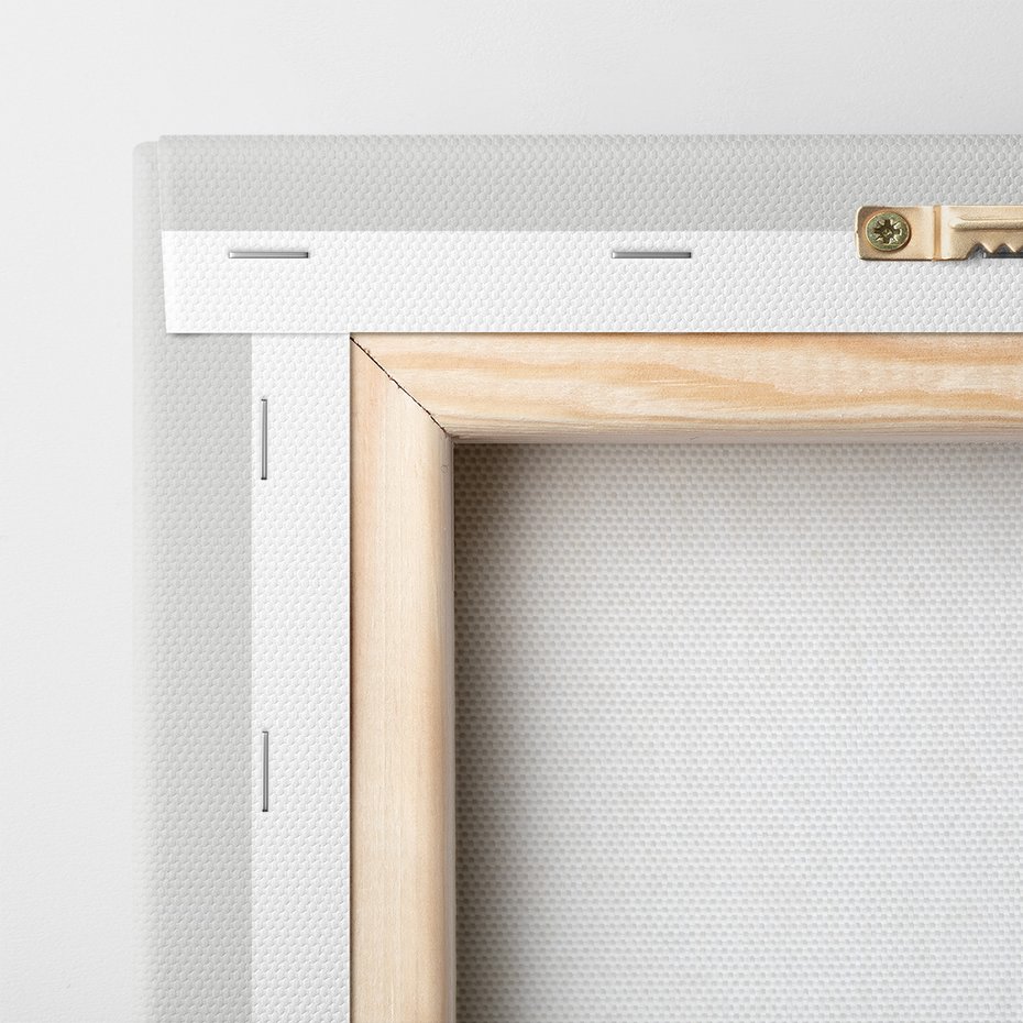 Obraz na płótnie - kaktusy, sukulenty, rośliny