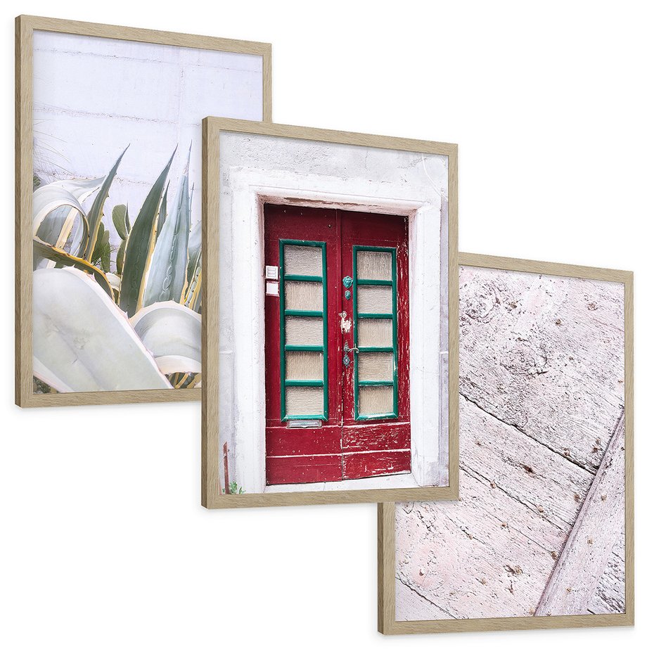 Zestaw obrazy w ramie, plakaty - rośliny, drzwi, drewno - rama drewno