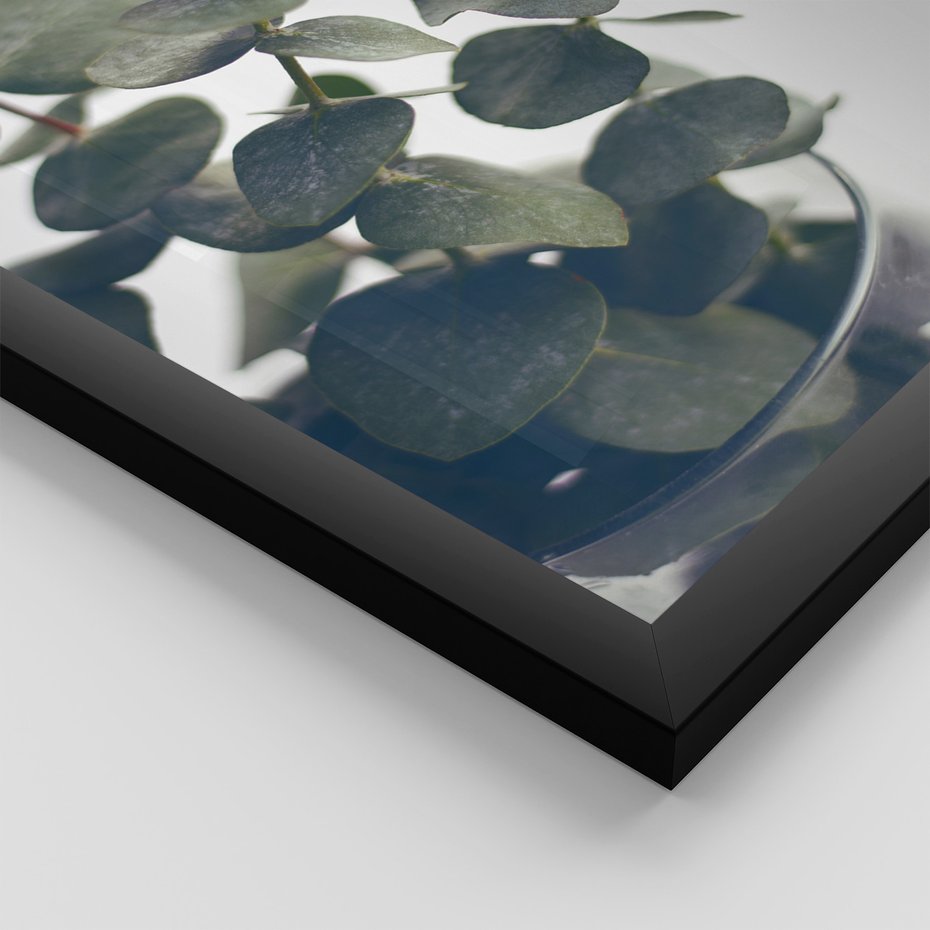 Zestaw obrazy w ramie, plakaty - eukaliptus, liście, gałązki - rama czarna