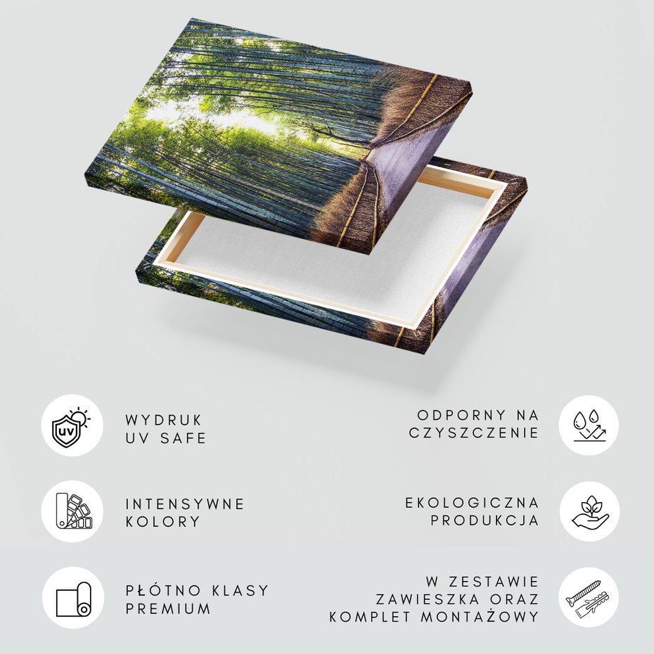 Obraz na płótnie - bambus, las, ścieżka