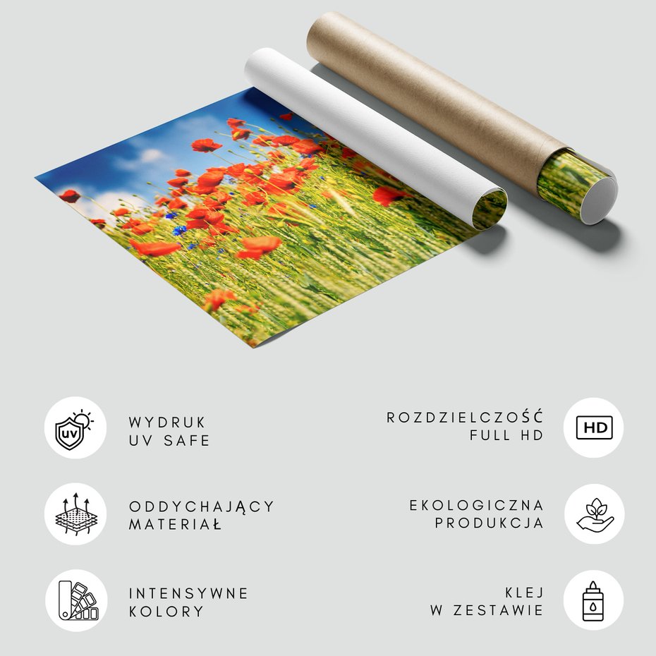 Fototapeta - maki, lato, kwiaty