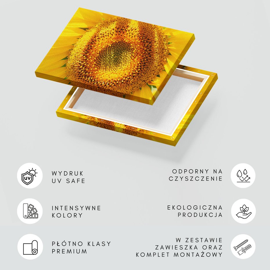 Obraz na płótnie - słonecznik, kwiat, żółty