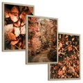 Zestaw obrazy w ramie, plakaty - liście,jesień,drzewa - rama drewno