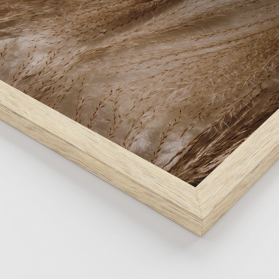 Zestaw obrazy w ramie, plakaty - rośliny, cienie, susz - rama drewno