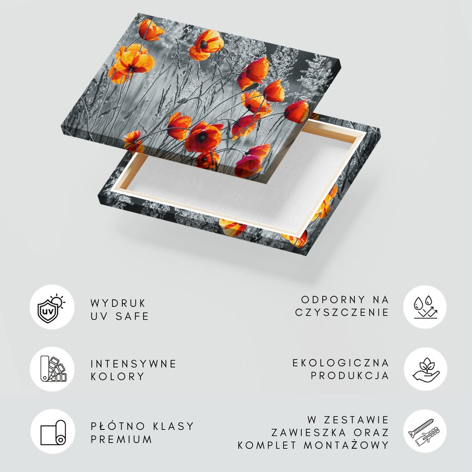 Obraz na płótnie - maki, kwiaty, natura