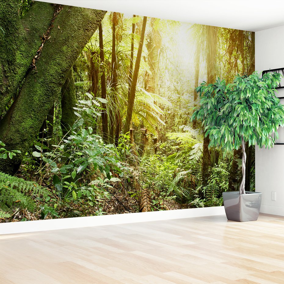 Fototapeta - las, drzewa, natura