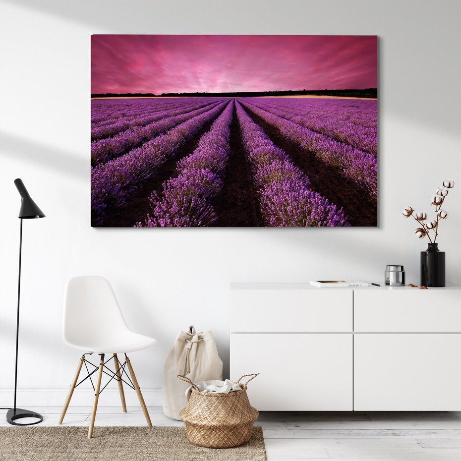 Obraz na płótnie - lawenda, pole, fioletowy