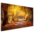 Obraz na płótnie - jesień, liście, drzewa