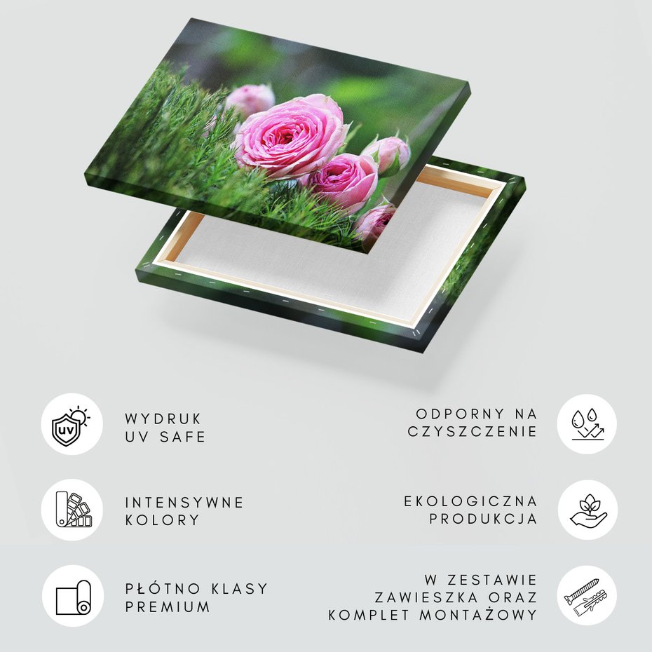 Obraz na płótnie - róże, kwiaty, natura