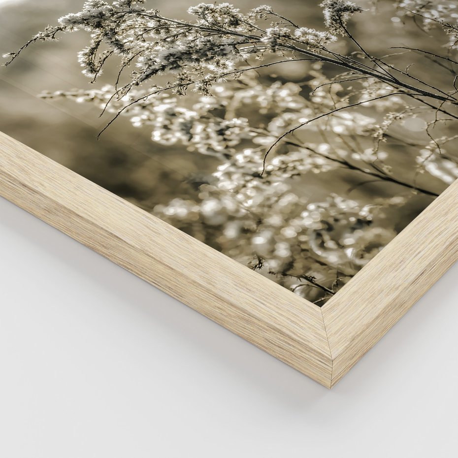 Zestaw obrazy w ramie, plakaty - natura, rośliny, góry - rama drewno