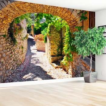 Fototapeta - uliczka, kamień, kwiaty