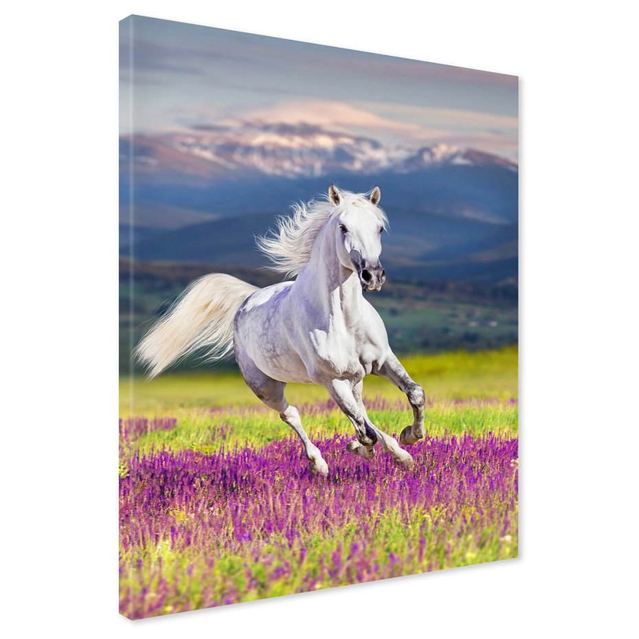 Obraz na płótnie - koń, natura, góry