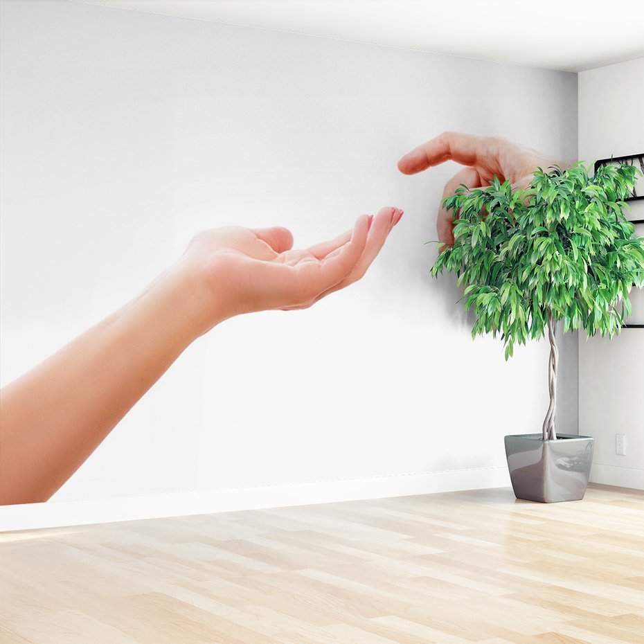 Fototapeta - dłonie, dotyk, połączenie