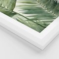 Zestaw obrazy w ramie, plakaty - liście, tropikalny, rośliny - rama biała