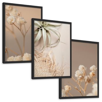 Zestaw obrazy w ramie, plakaty - kwiaty, roślina, suszone - rama czarna