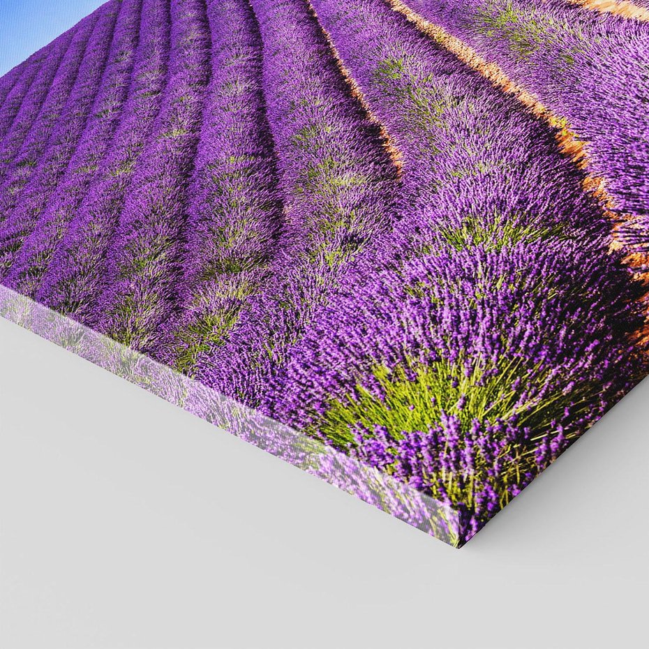 Obraz na płótnie - lawenda, pole, lato