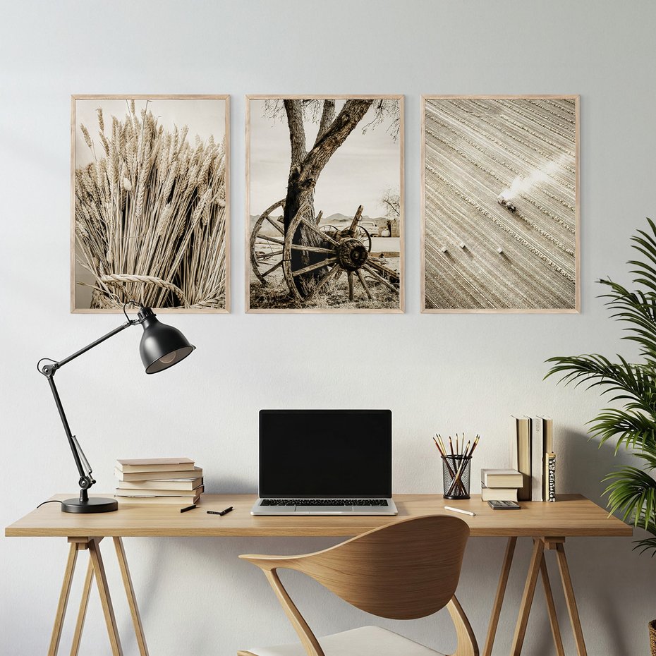 Zestaw obrazy w ramie, plakaty - wieś, rolnictwo, plony - rama drewno