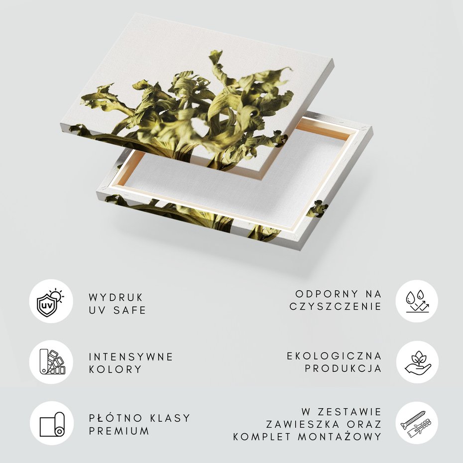 Obraz na płótnie - liście, suche, roślina