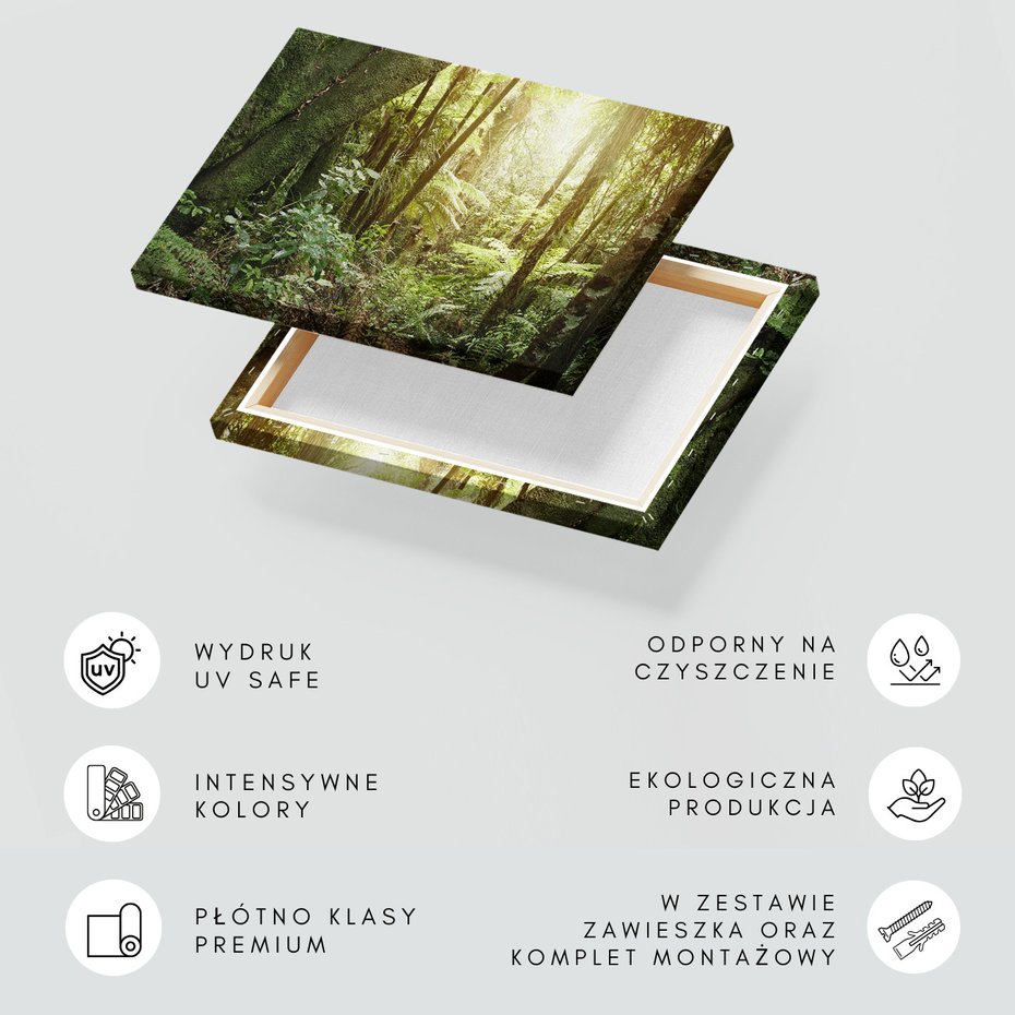 Obraz na płótnie - las, drzewa, roślinność