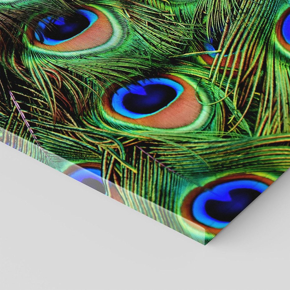 Obraz na płótnie - pawie pióra, pióra, abstrakcja