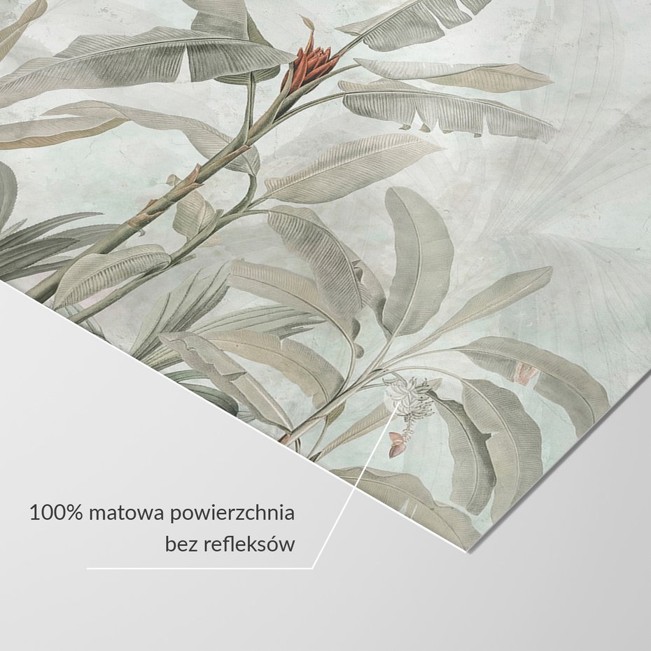 Fototapeta - loft, las, tropikalny