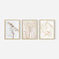 Zestaw obrazy w ramie, plakaty - kwiaty, gałązki, minimalizm - rama drewno