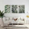 Zestaw obrazy w ramie, plakaty - liście palmowe, rośliny, natura - rama biała