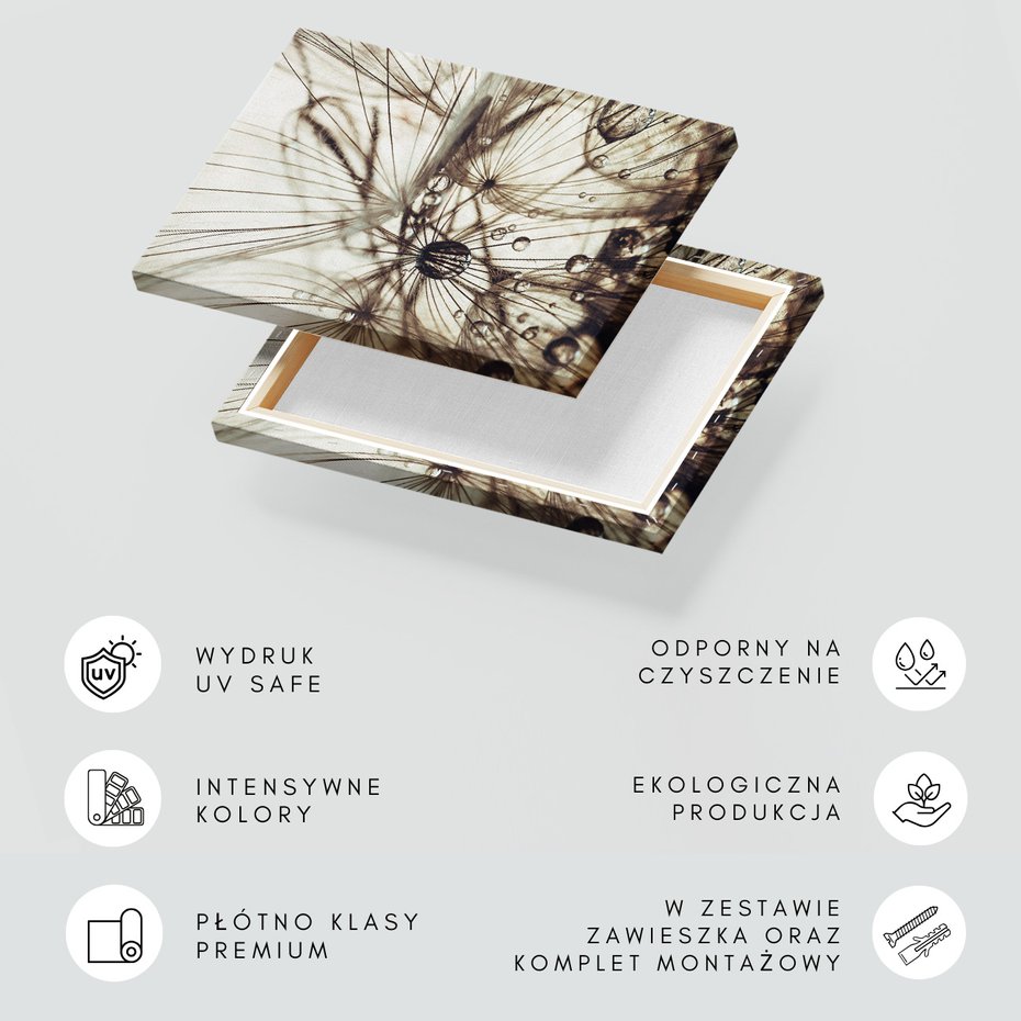 Obraz na płótnie - makro, krople, nasiona