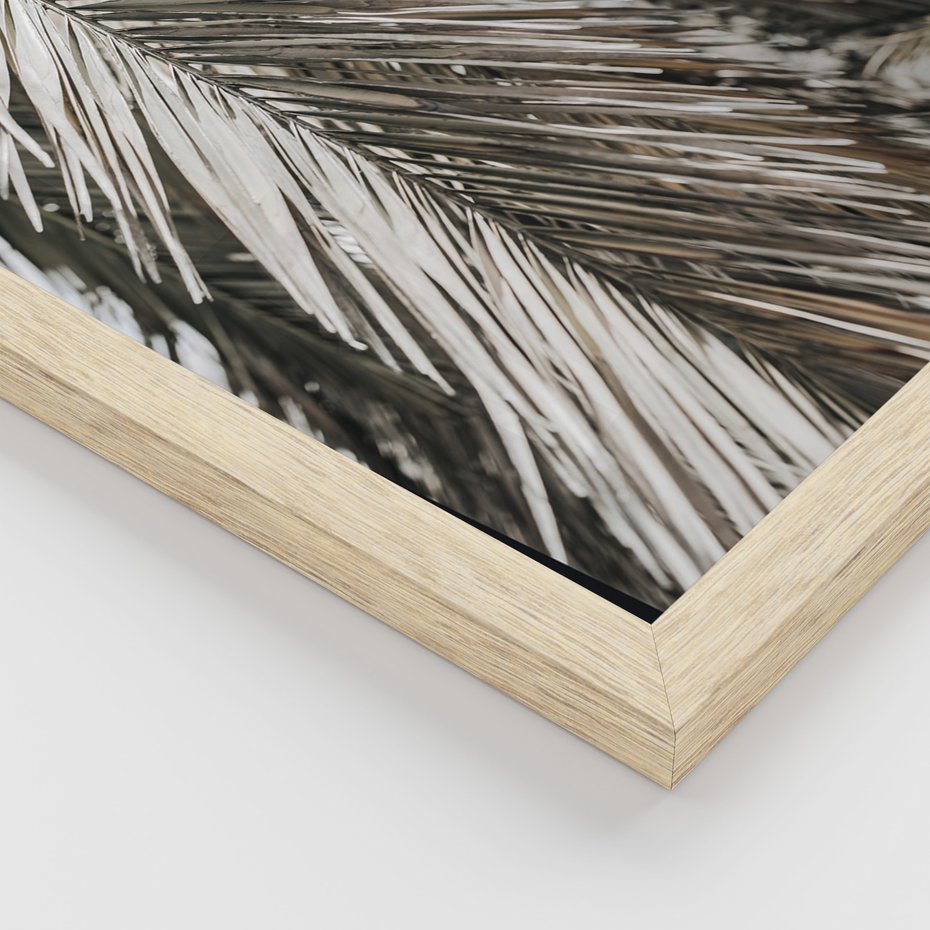 Zestaw obrazy w ramie, plakaty - liście, palmy, napisy - rama drewno