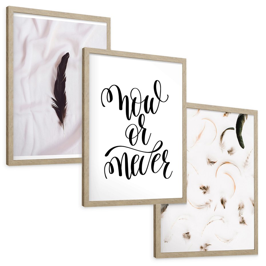 Zestaw obrazy w ramie, plakaty - pióro, minimalizm, tło - rama drewno