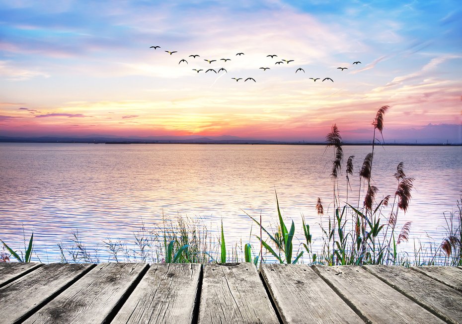 Fototapeta - zachód słońca, jezioro, ptaki
