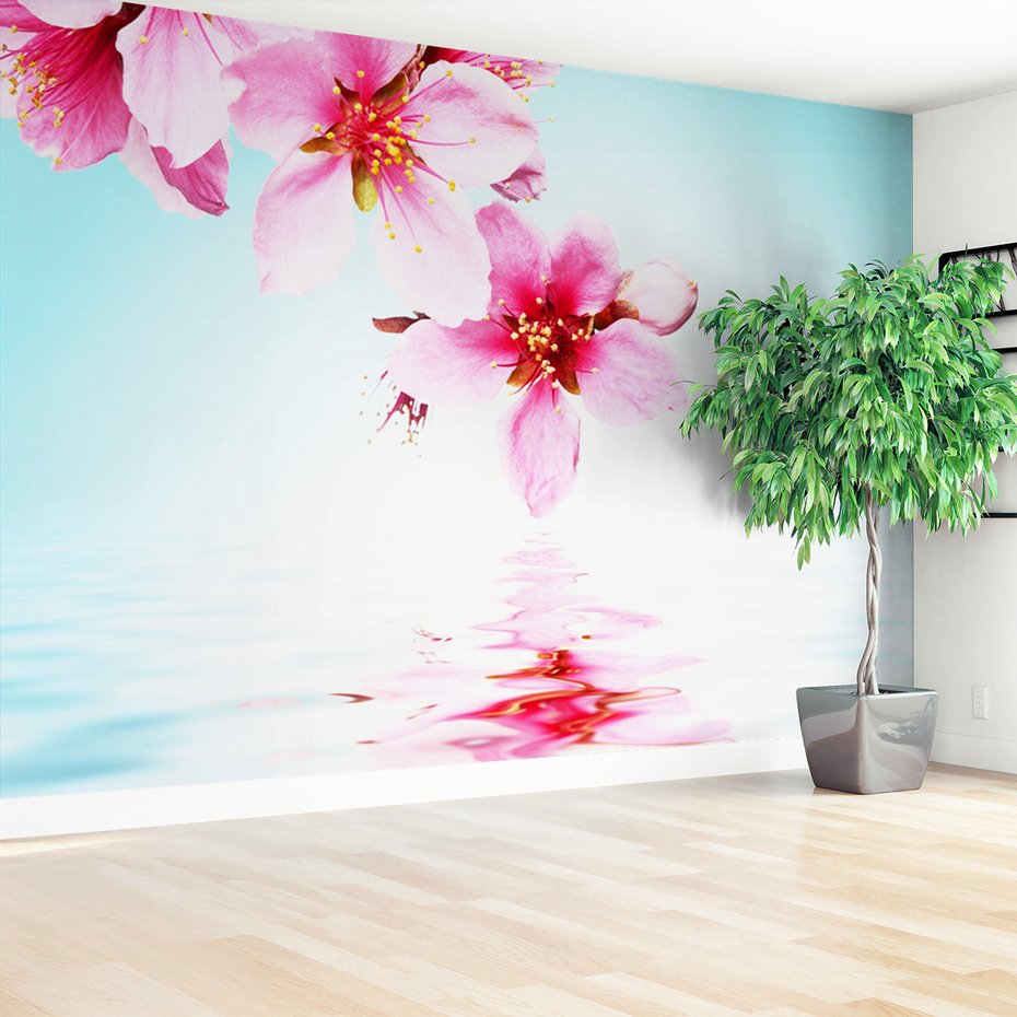 Fototapeta - kwiaty, woda, odbicie