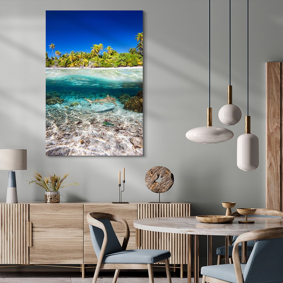 Obraz na płótnie - rekin, morze, tropiki