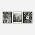 Zestaw obrazy w ramie, plakaty - zima, śnieg, las - rama czarna
