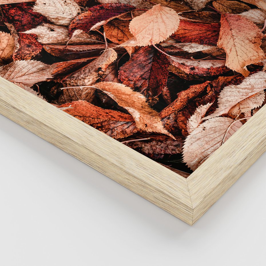 Zestaw obrazy w ramie, plakaty - liście,jesień,drzewa - rama drewno