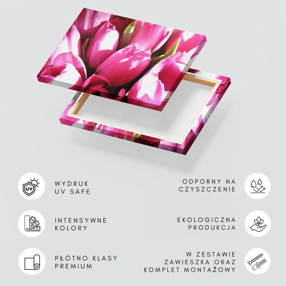 Obraz na płótnie - tulipany, kwiaty, różowe