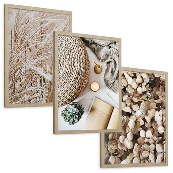 Zestaw obrazy w ramie, plakaty - roślina, beżowy, dekoracja - rama drewno