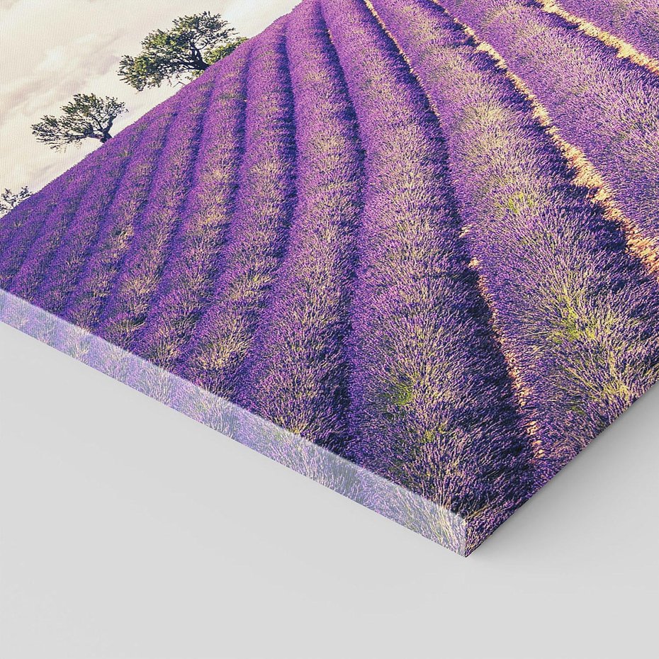 Obraz na płótnie - lawenda, pole, drzewa