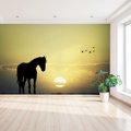 Fototapeta - koń, zachód słońca, ptaki