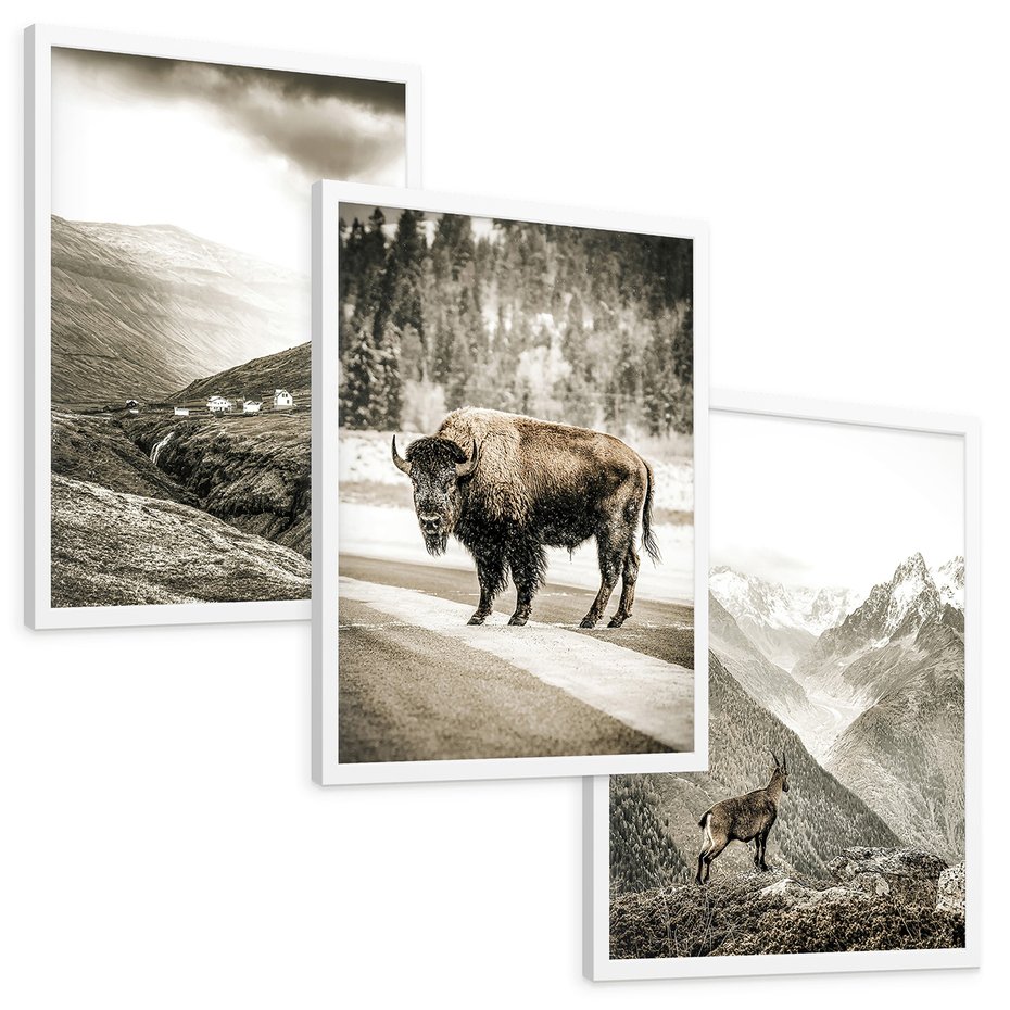 Zestaw obrazy w ramie, plakaty - krajobraz, zwierzę, góry - rama biała