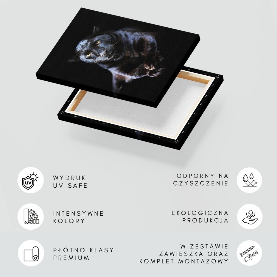 Obraz na płótnie - pantera, czarna, kot