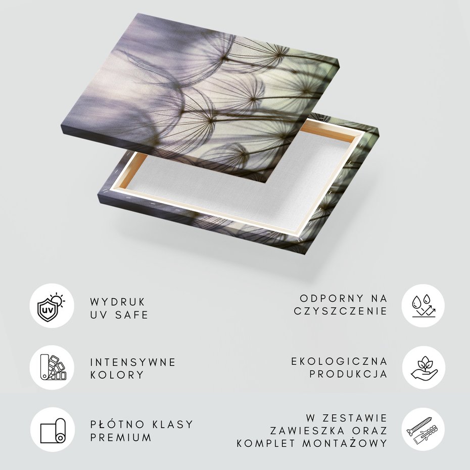 Obraz na płótnie - dmuchawce, abstrakcja, natura