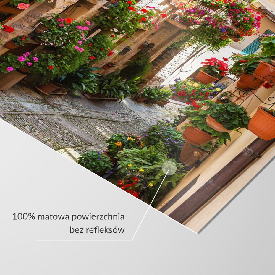 Fototapeta - uliczka, kwiaty, doniczki