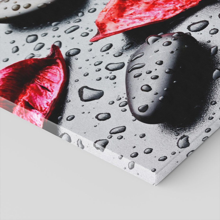 Obraz na płótnie - kwiaty, kamienie, woda