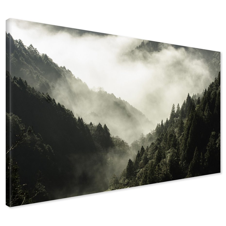 Obraz na płótnie - las, góry, mgła