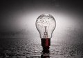Fototapeta - żarówka, woda, krople