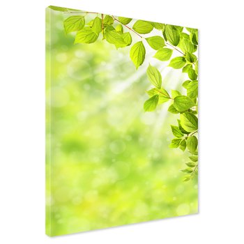 Obraz na płótnie - liście, zieleń, natura