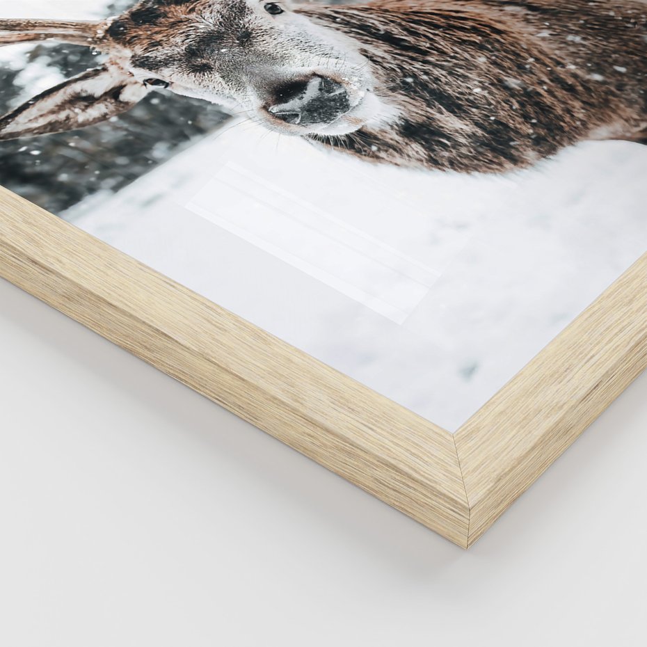 Zestaw obrazy w ramie, plakaty - zwierzęta, zima, śnieg - rama drewno